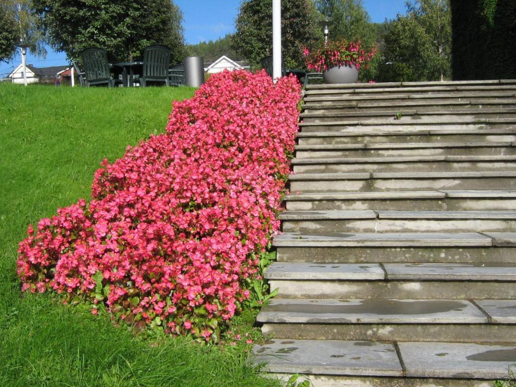 Brattrein 4* Notodden